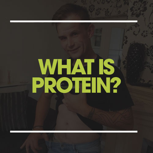 what is protein?